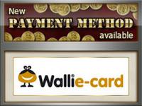 Easy payment with the prepaid Wallie-Card